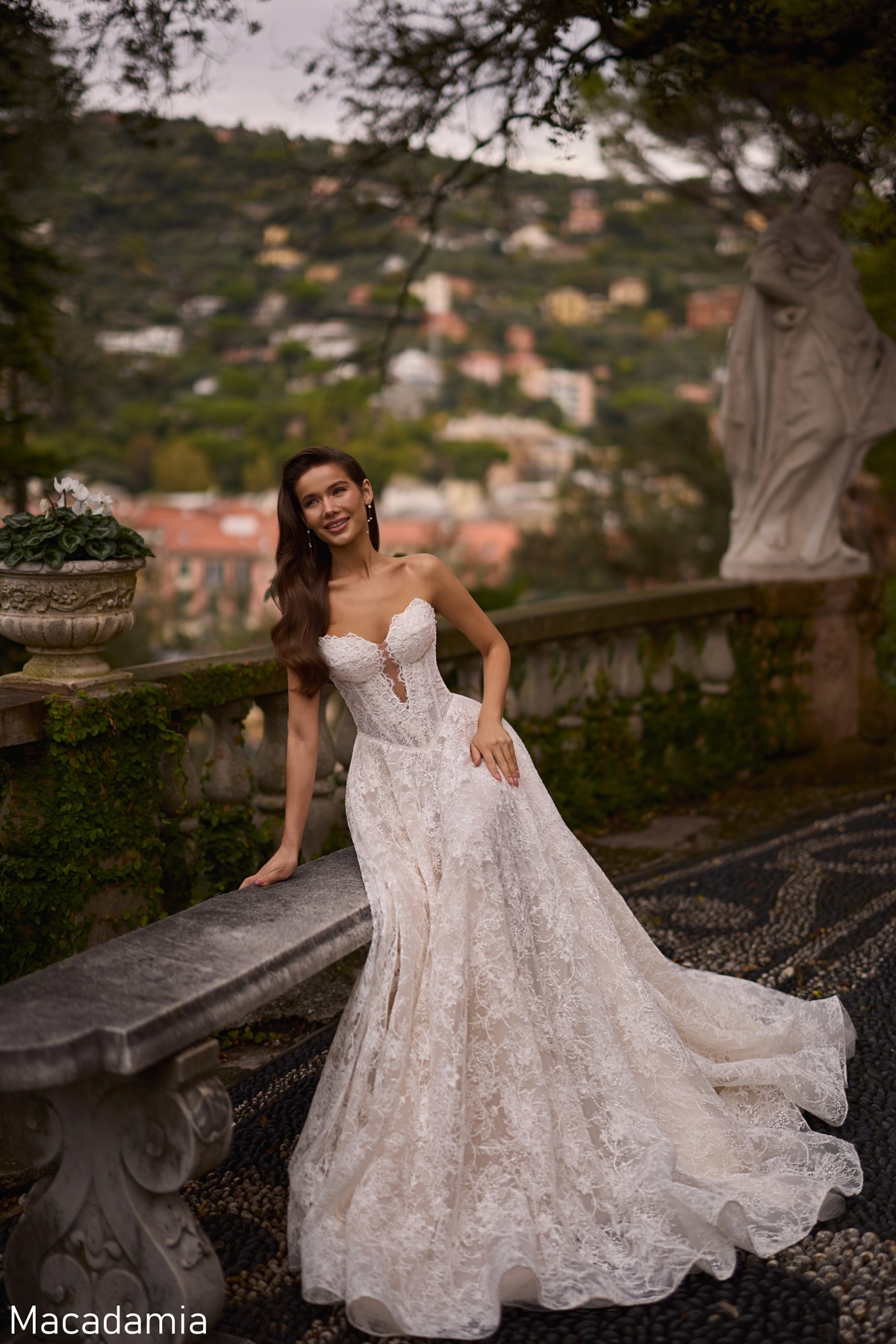 Macadamia